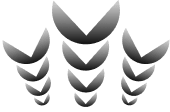 Mission Icon